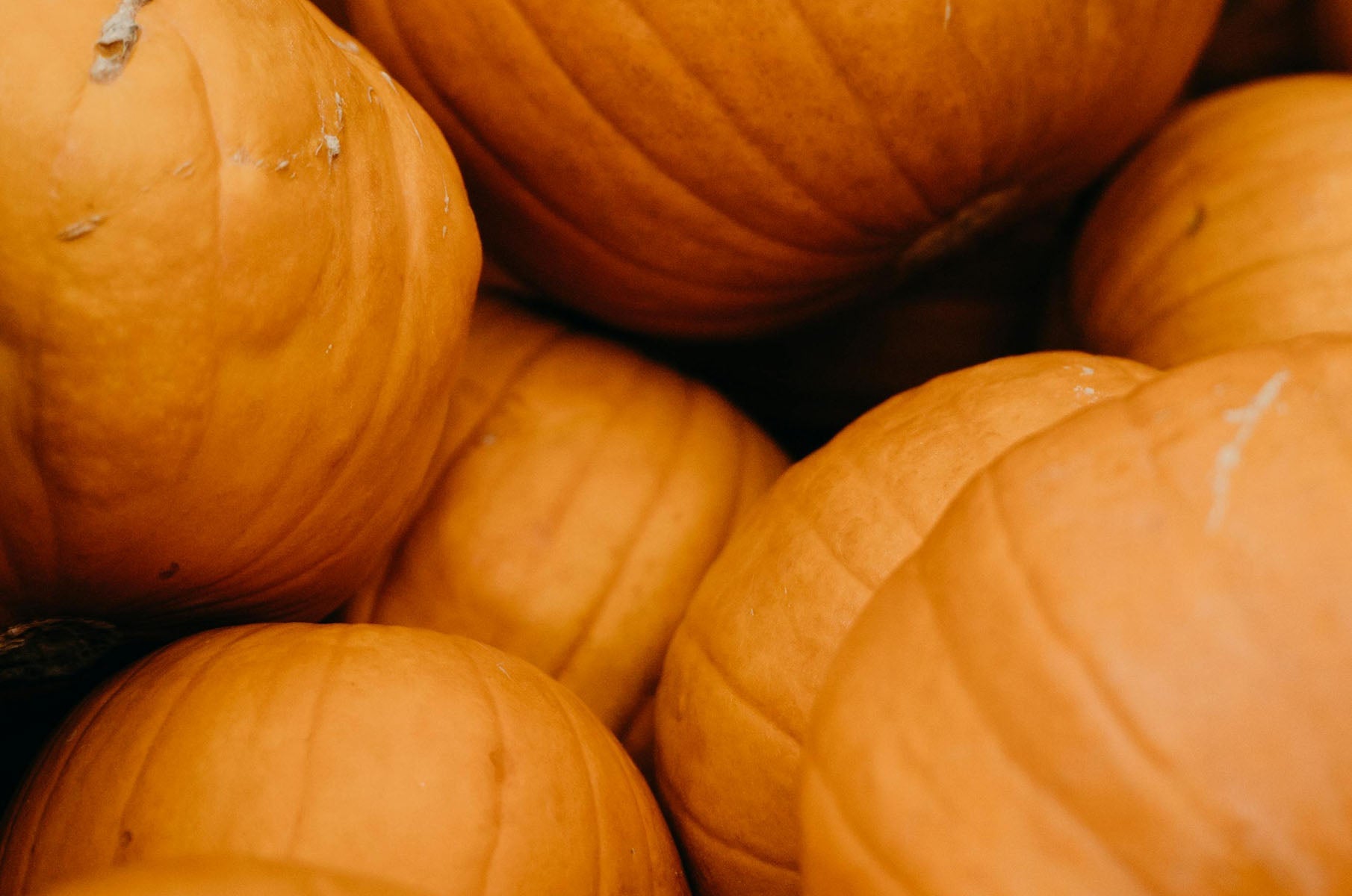 New Ingredient Spotlight: Pumpkin Enzyme Powered Exfoliation